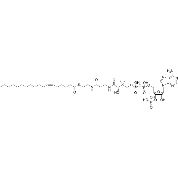 (6Z-Octadecenoyl)-CoA 70954-87-9